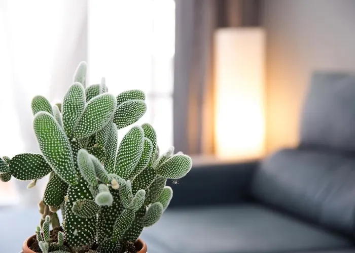 شقة Torre Almadraba- Turistika دينايا