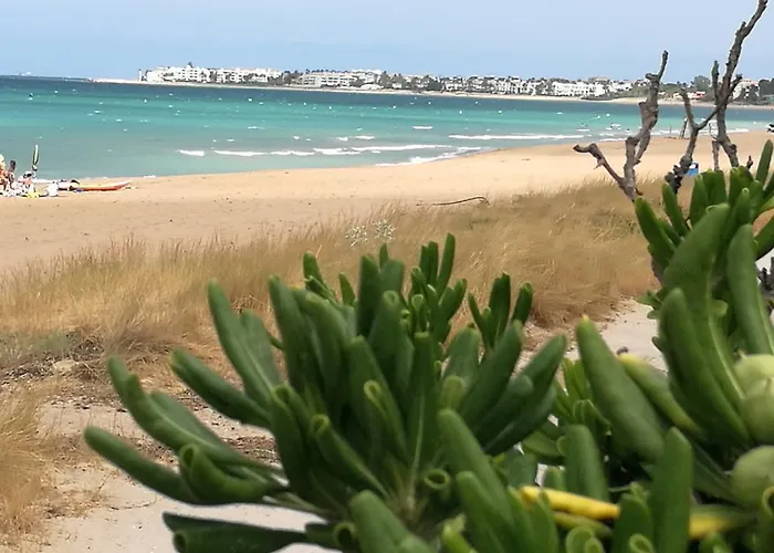 Torre Almadraba- Turistika شقة دينايا